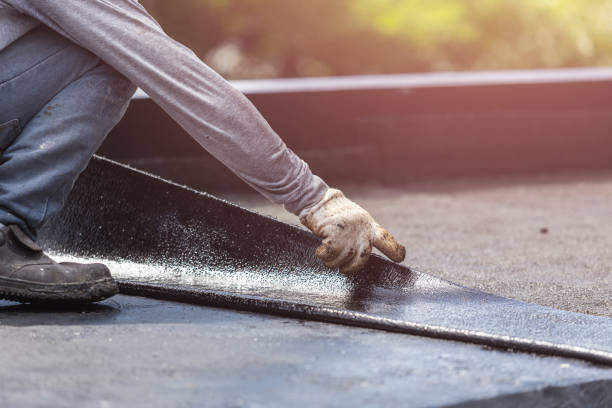 Professional Wet Basement Repair technician working in Harrogate, TN